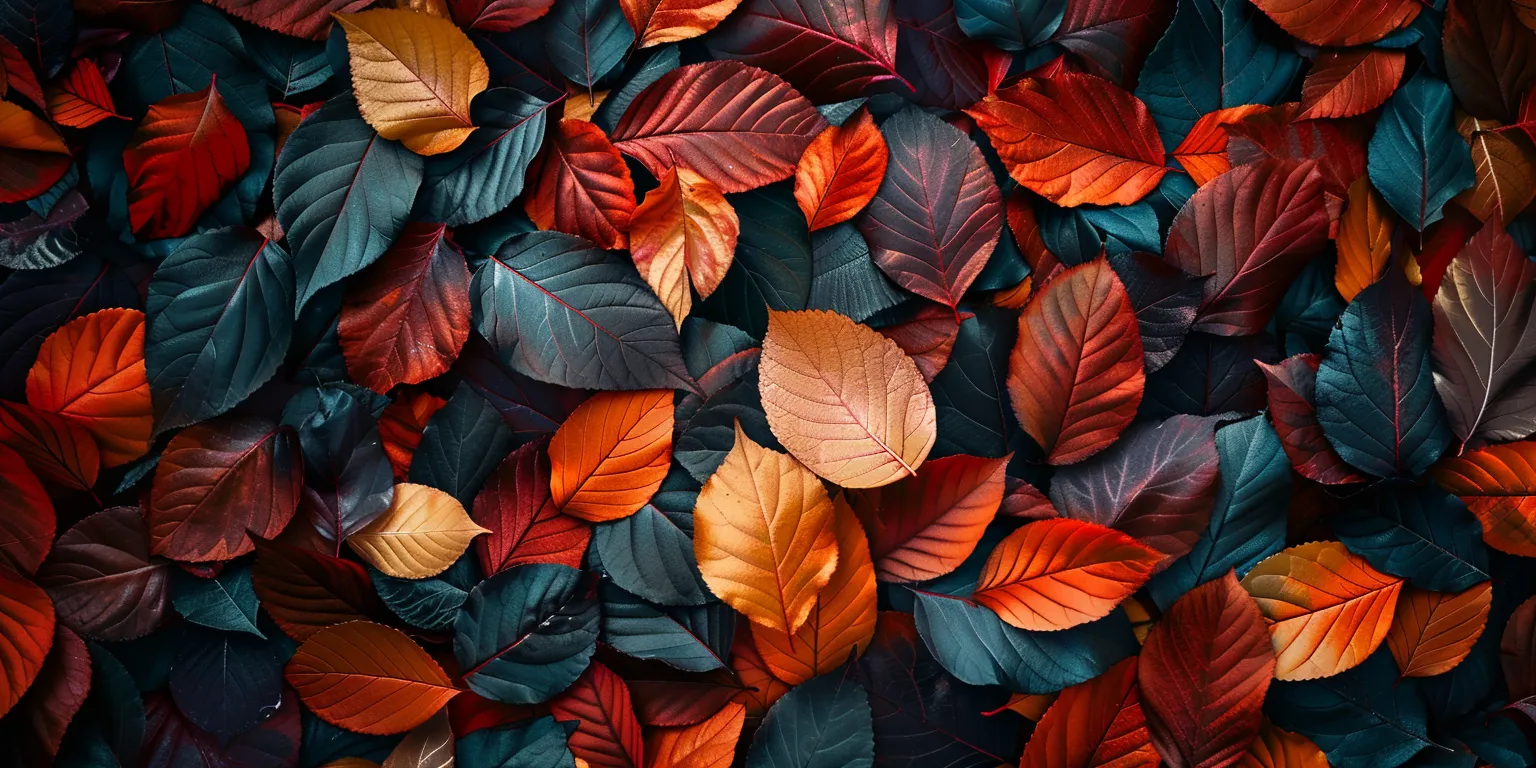 fall background images, wallpaper style, 4K  2:1