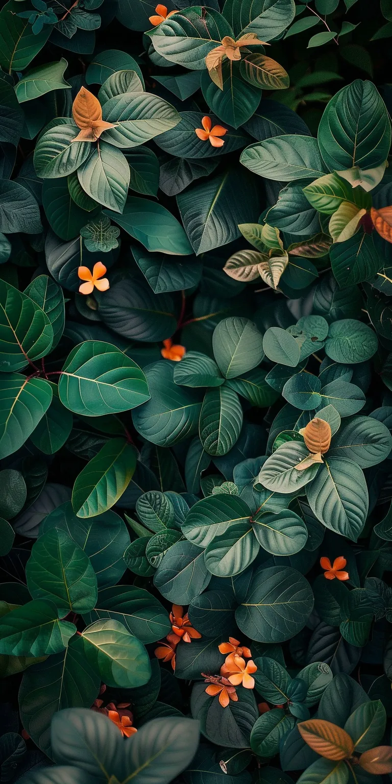 good wallpaper plants, unsplash, wall, botanical, greenery