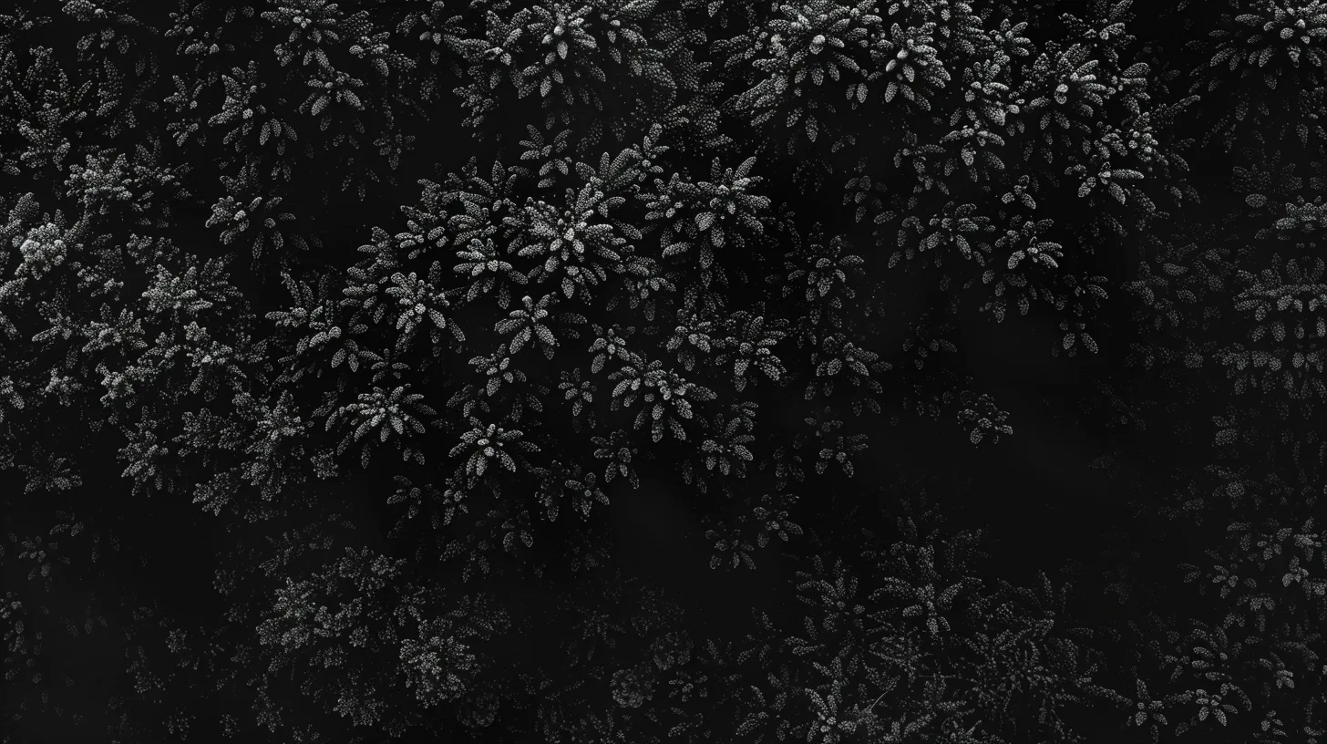 black wallpapers aesthetic, wallpaper style, 4K, HD  16:9