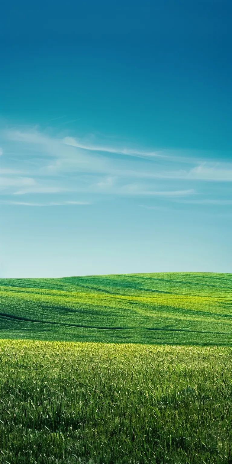 windows xp background, wallpaper style, 4K  1:2