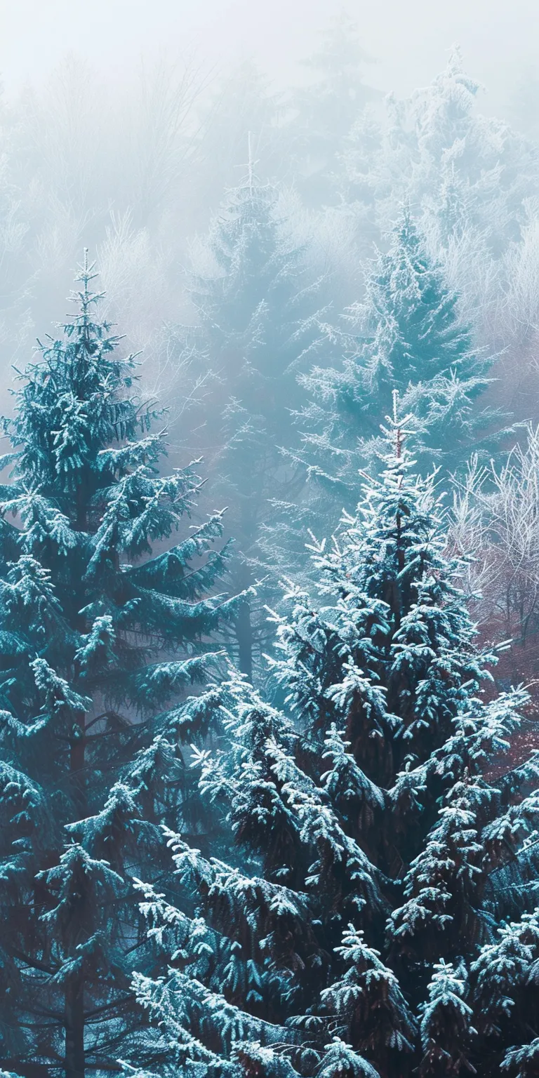 winter background aesthetic, wallpaper style, 4K  1:2