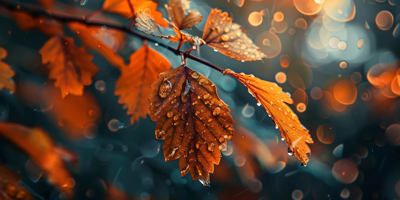 fall desktop wallpaper aesthetic, style, 4K  2:1