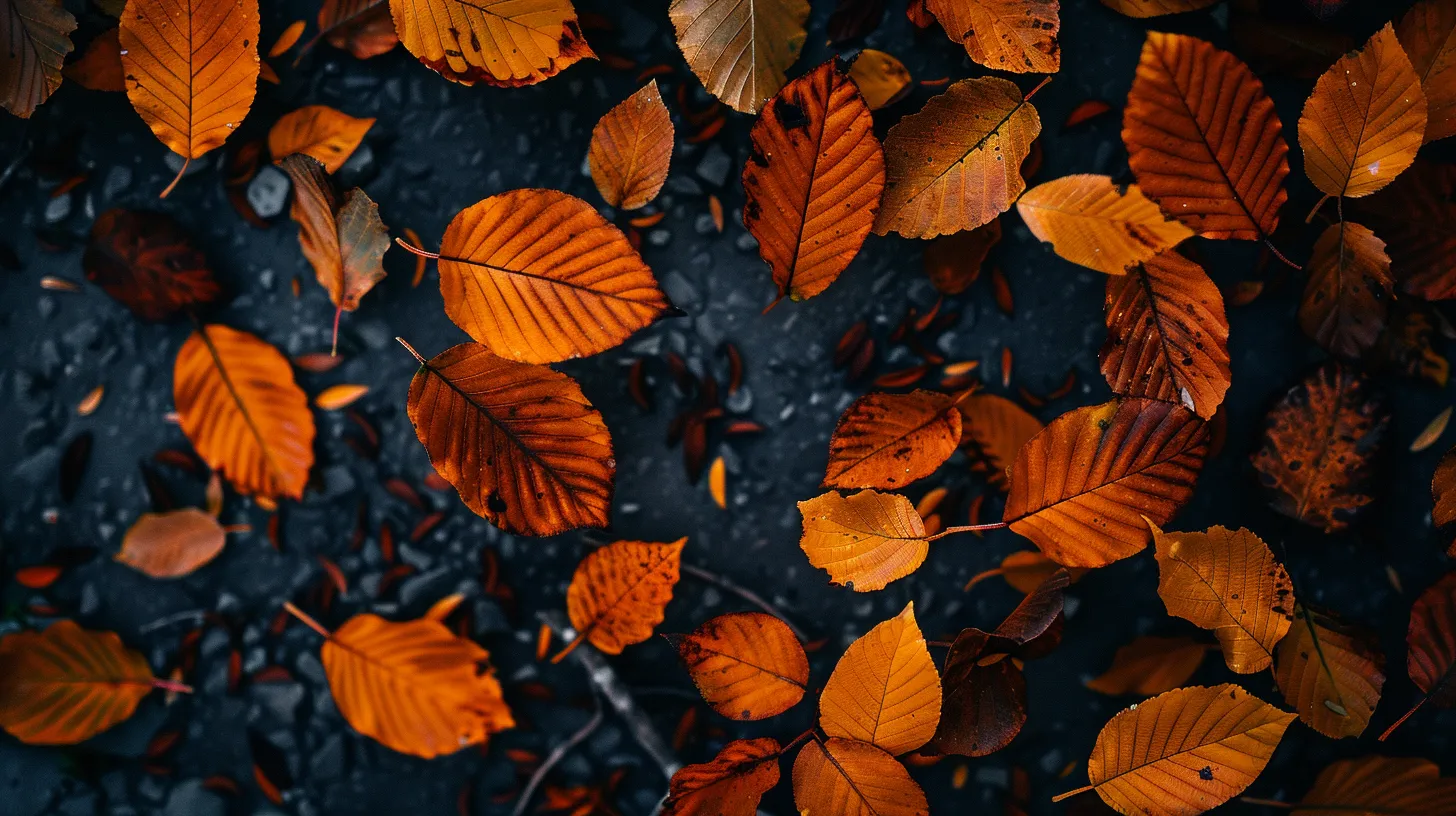 fall wallpaper aesthetic, style, 4K  16:9