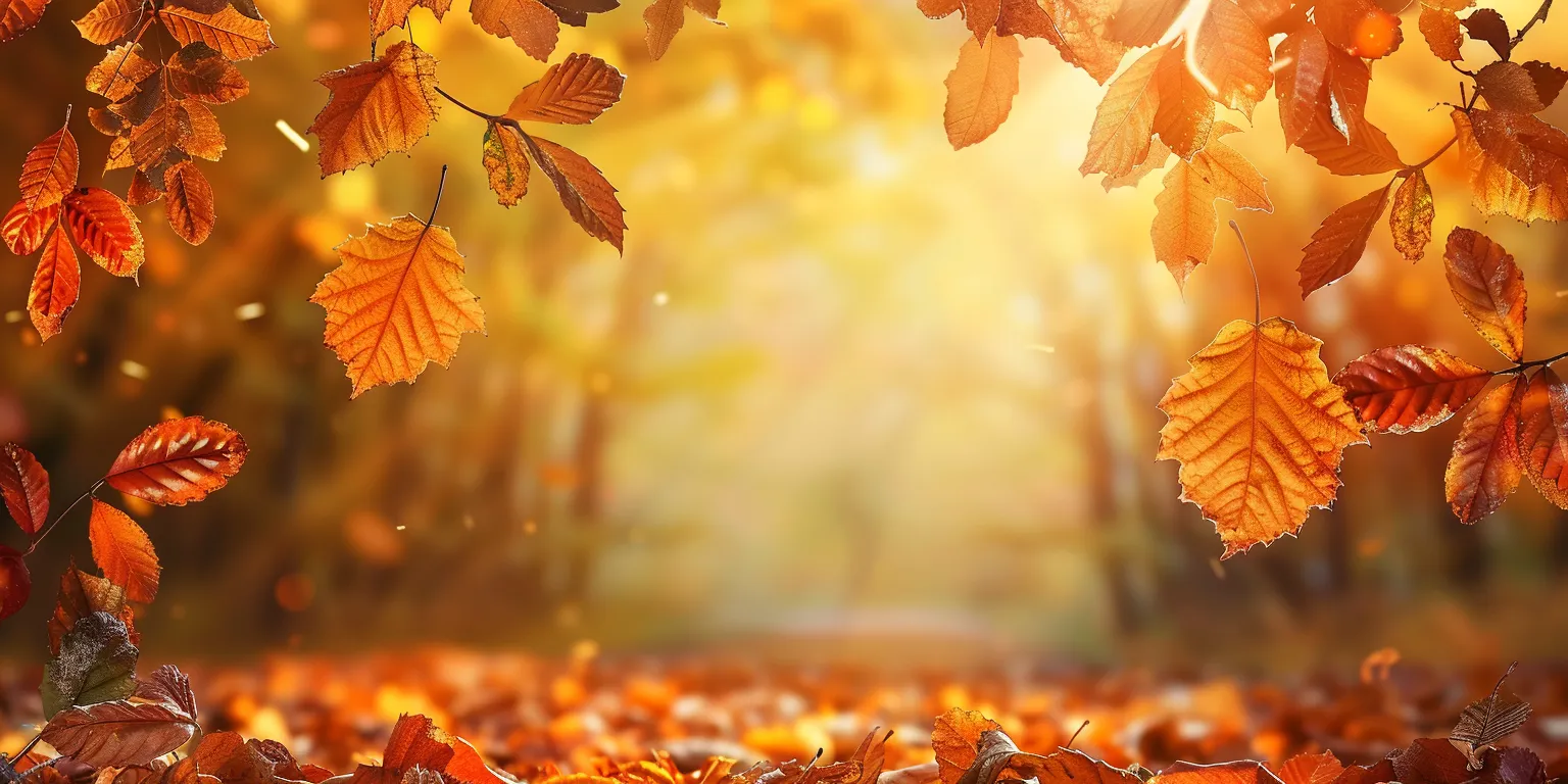 fall background wallpaper, wallpaper style, 4K  2:1