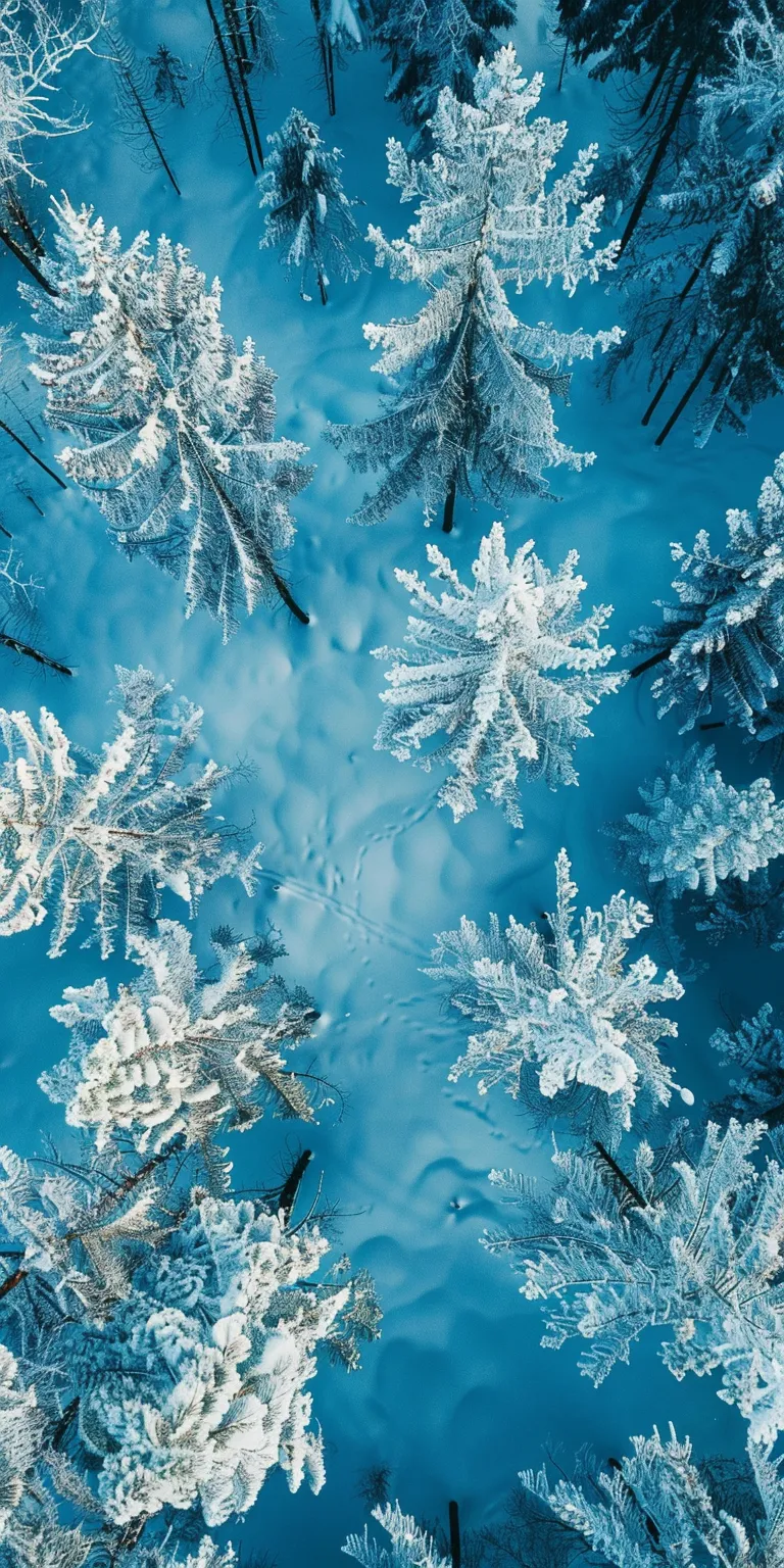 winter background wallpaper, wallpaper style, 4K  1:2