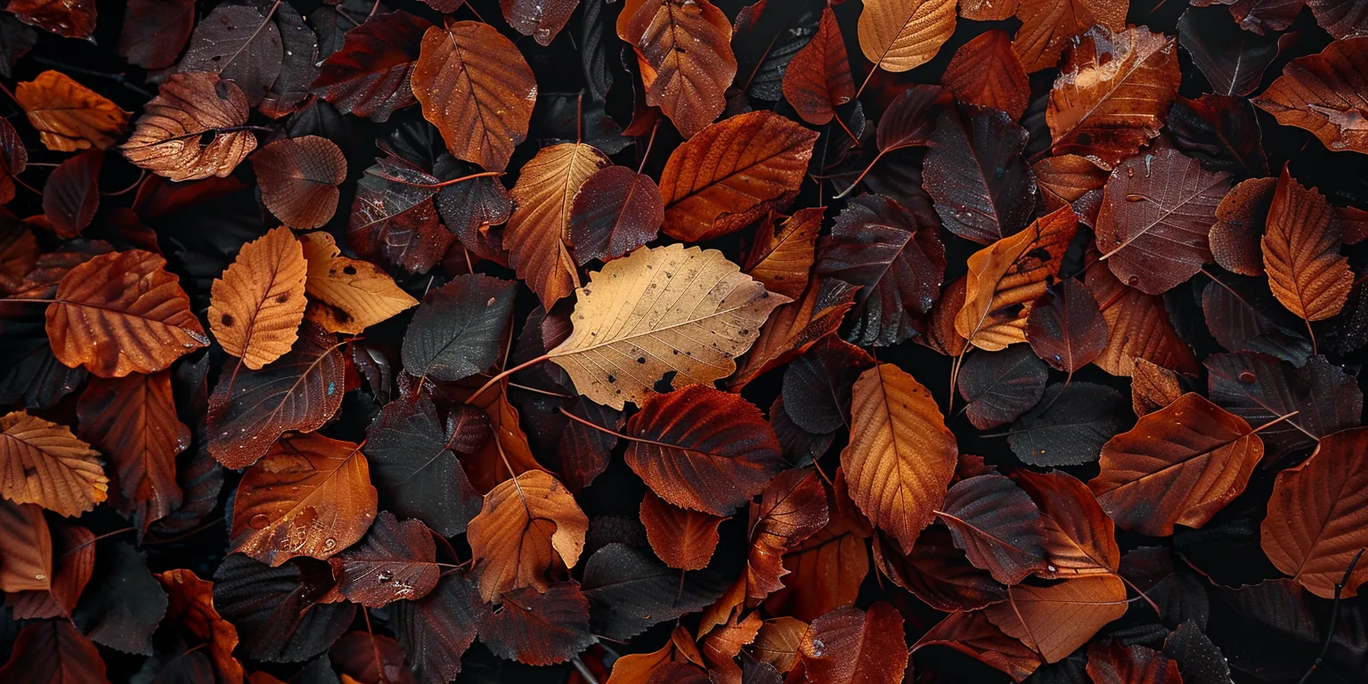 fall wallpaper iphone, style, 4K  2:1
