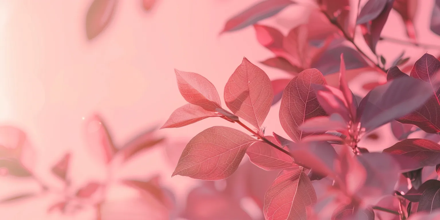 light pink wallpaper wall, sakura, 3840x1080, pink, botanical