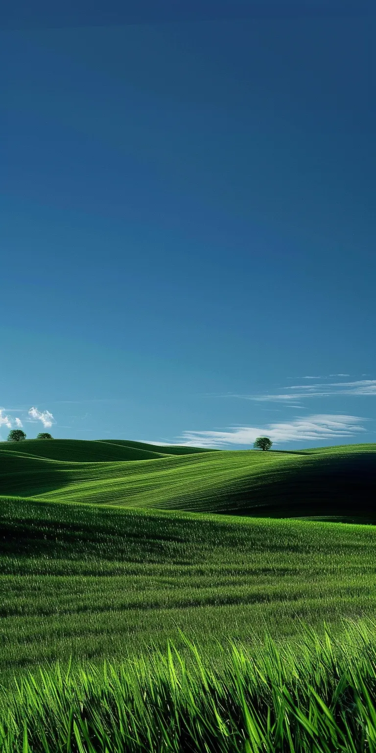 windows xp wallpaper 1920x1080, style, 4K  1:2