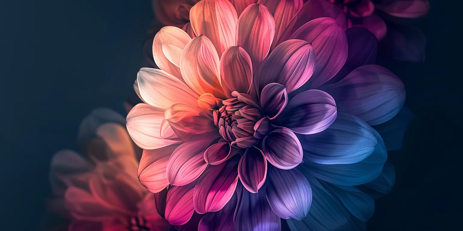 iphone 14 wallpaper amoled, flower, floral, flowers, botanical