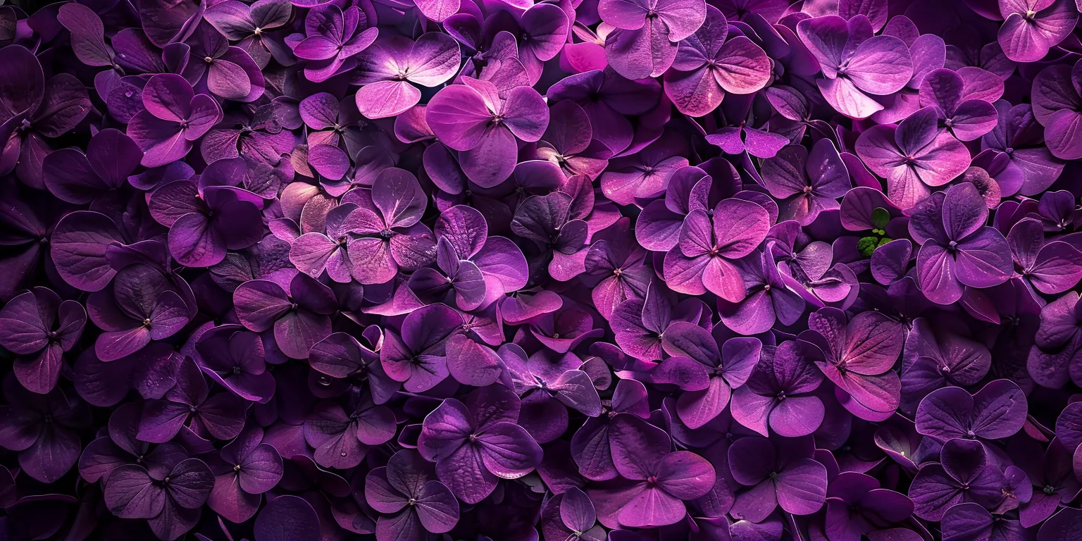 purple wallpaper, wallpaper style, 4K  2:1