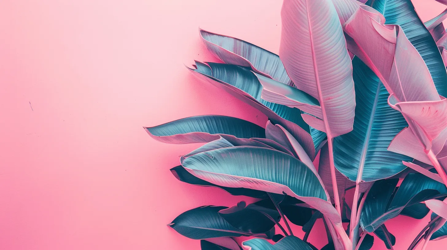 pink wallpapers aesthetic, wallpaper style, 4K  16:9