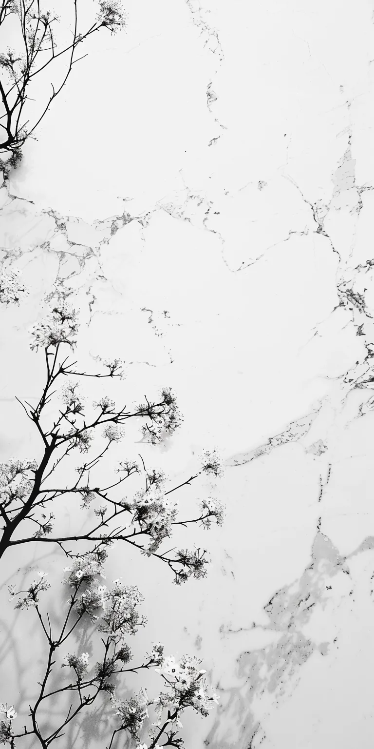 white background wallpaper winter, snow, weathering, pinterest, tree