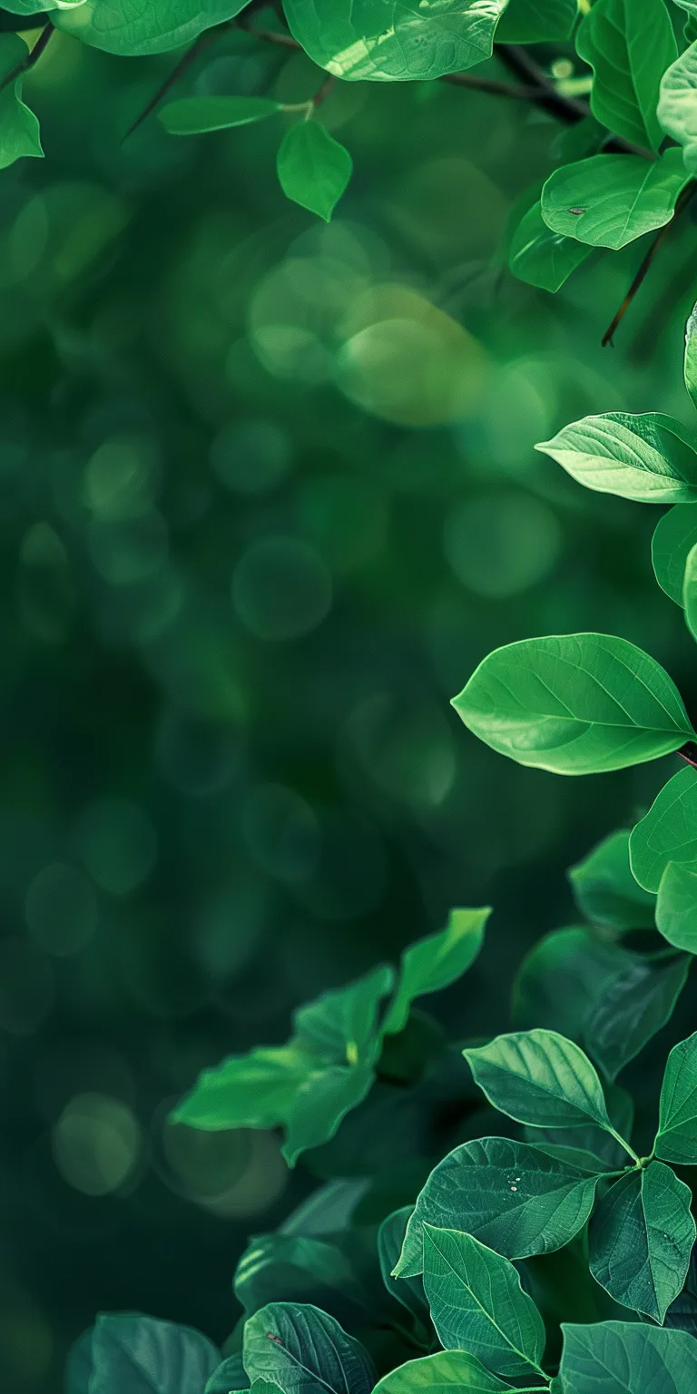 green background wallpaper, wallpaper style, 4K  1:2