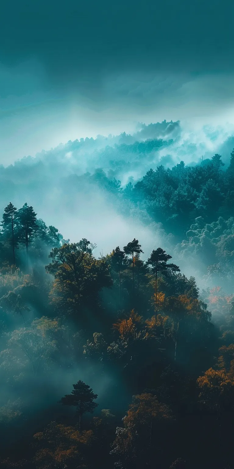 good wallpaper evergarden, forest, 3840x1080, nature, unsplash