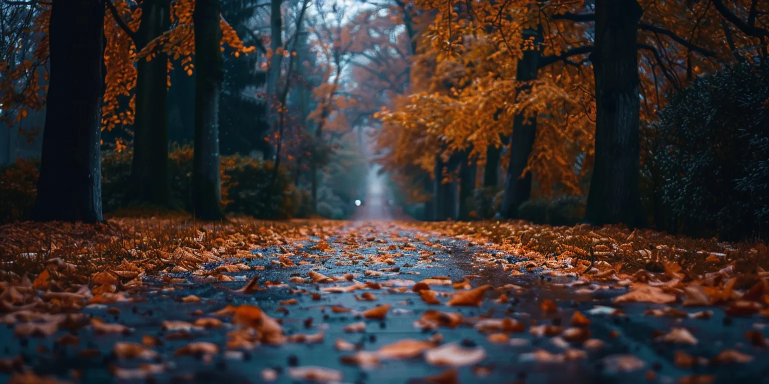 fall wallpapers iphone, wallpaper style, 4K  2:1