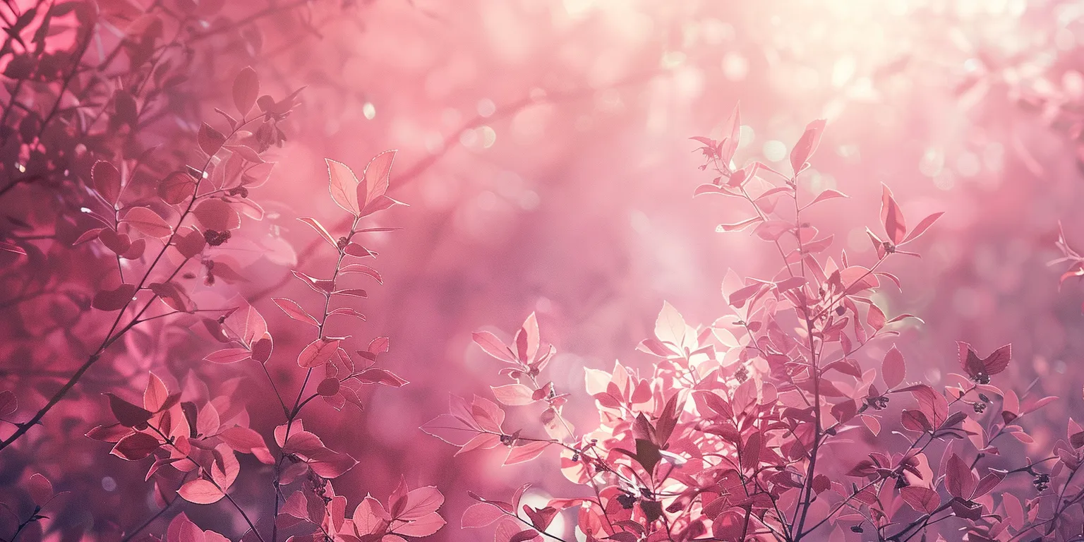 light pink wallpaper blossom, spring, sakura, wall