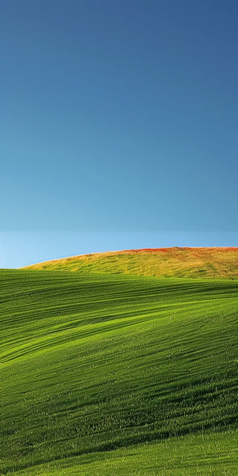 windows xp background now, wallpaper style, 4K  1:2