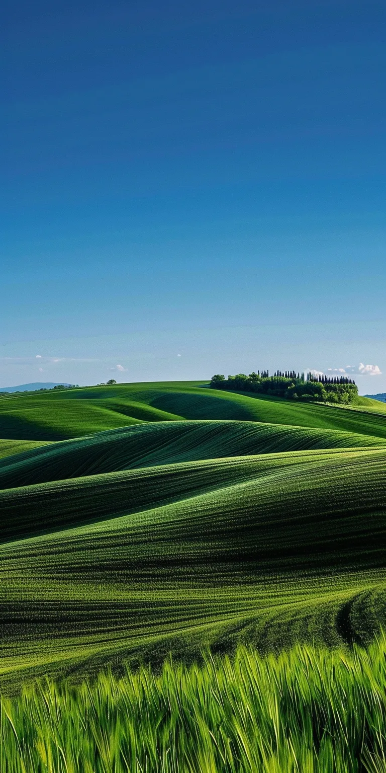 windows xp wallpaper 4k, style, 4K  1:2